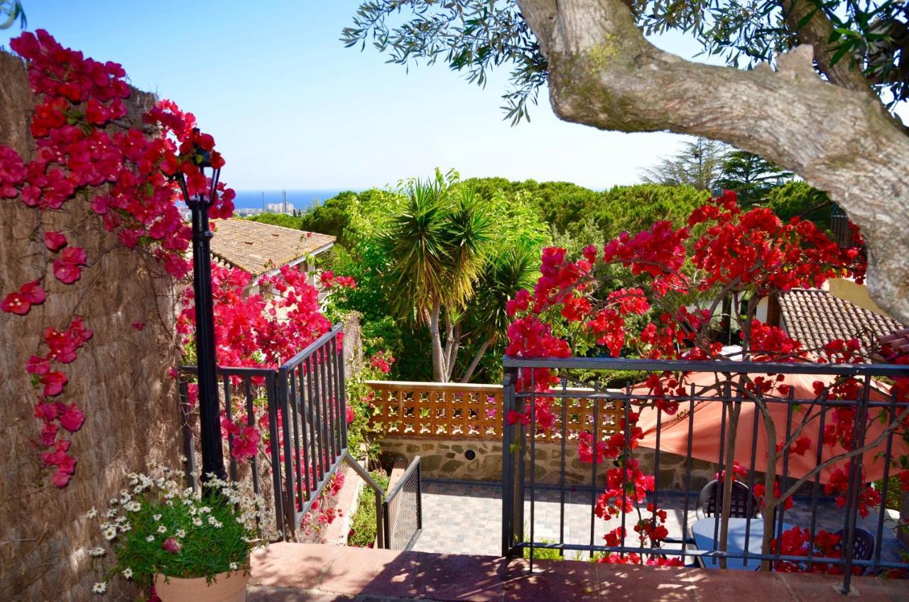 Arts House - Cabrils, Maresme, Barcelona 아파트 외부 사진