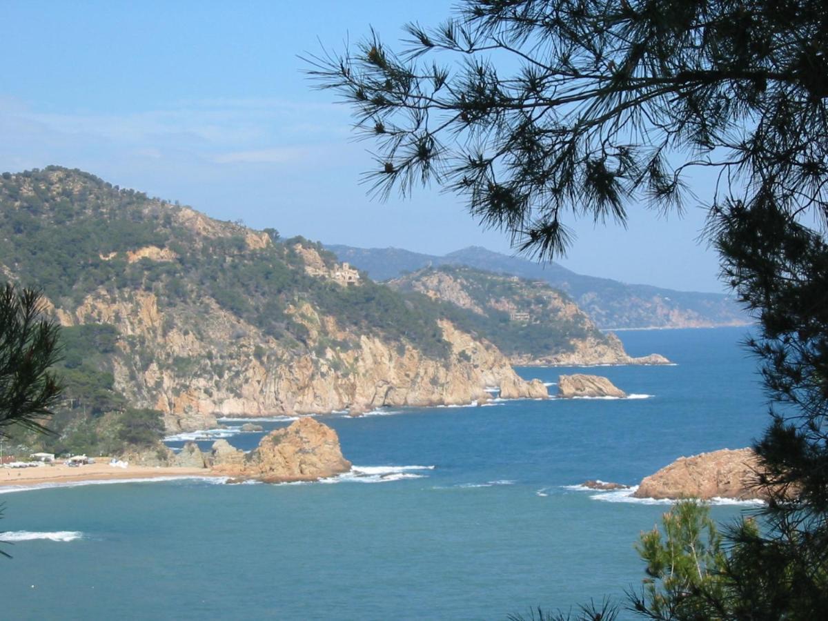 Arts House - Cabrils, Maresme, Barcelona 아파트 외부 사진